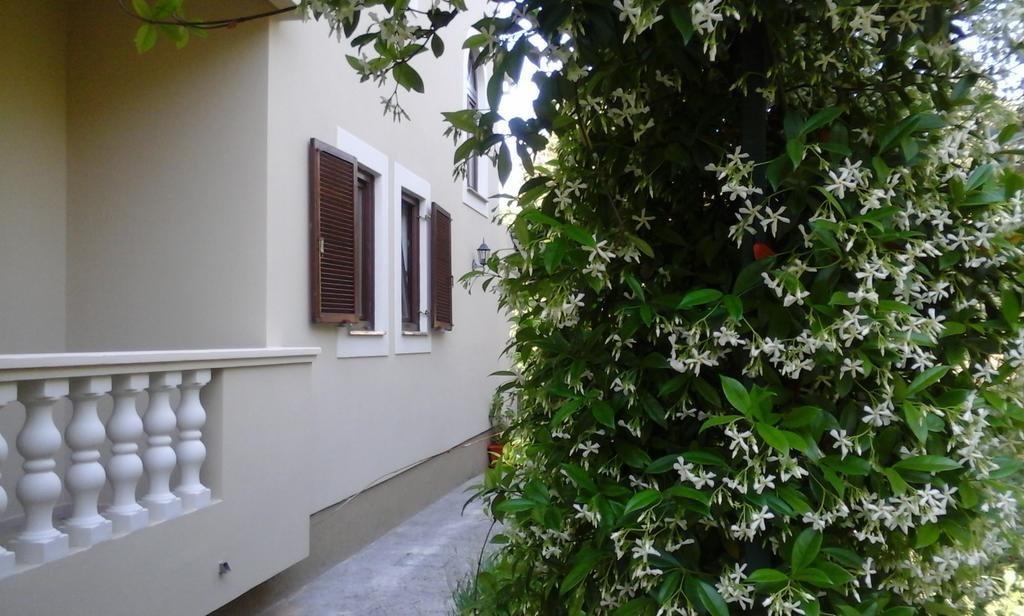 Apartments Rozelyn Ugljan Room photo
